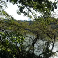 北の丸公園の写真・動画_image_13071