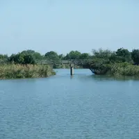 びわ湖よし笛ロードの写真・動画_image_13085