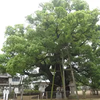 総本山善通寺の写真・動画_image_13108