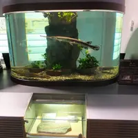 志摩マリンランドの写真・動画_image_13116