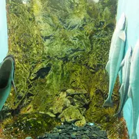 志摩マリンランドの写真・動画_image_13118