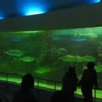 志摩マリンランドの写真・動画_image_13120