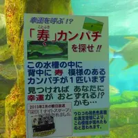 志摩マリンランドの写真・動画_image_13121