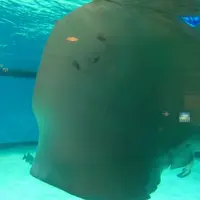 志摩マリンランドの写真・動画_image_13122