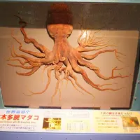 志摩マリンランドの写真・動画_image_13128