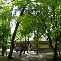 名古屋城の写真・動画_image_13194