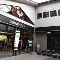 岐阜城の写真・動画_image_13208