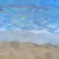 ららぽーと海老名の写真・動画_image_132132