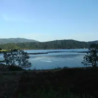 余呉湖の写真・動画_image_13221