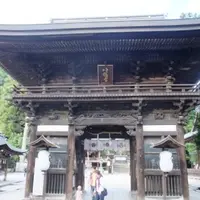 近江八幡水郷めぐりの写真・動画_image_13226