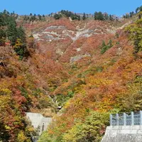 白山スーパー林道の写真・動画_image_13265