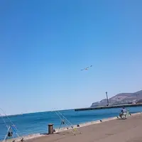 小樽港の写真・動画_image_132730