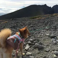 硫黄岳の写真・動画_image_13310