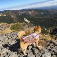 硫黄岳の写真・動画_image_13312