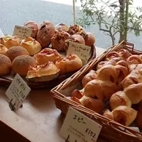 ブレッド＆バターの写真・動画_image_133263