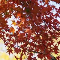 震生湖の写真・動画_image_13355