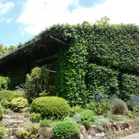 西宮市北山緑化植物園の写真・動画_image_133680