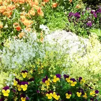 西宮市北山緑化植物園の写真・動画_image_133684