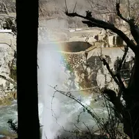 地獄谷野猿公苑の写真・動画_image_134034