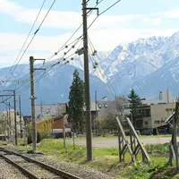 大出公園の写真・動画_image_134042