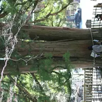 戸隠神社中社の写真・動画_image_134046