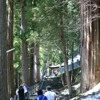 戸隠神社中社の写真・動画_image_134047