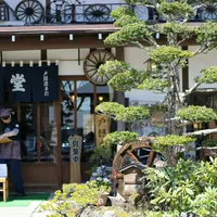 戸隠神社中社の写真・動画_image_134048