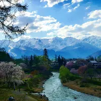 大出公園の写真・動画_image_134093