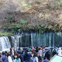 白糸の滝の写真・動画_image_134174