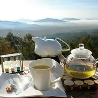 【閉業】天空カフェ・アウラの写真・動画_image_134210