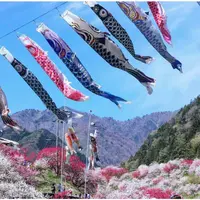 月川温泉の花桃の写真・動画_image_134323