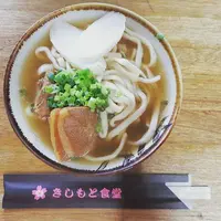 備瀬のフクギ並木の写真・動画_image_134554