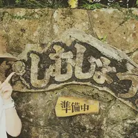 備瀬のフクギ並木の写真・動画_image_134556