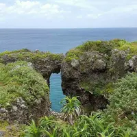 備瀬のフクギ並木の写真・動画_image_134561