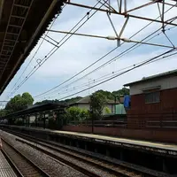 明月院（あじさい寺）の写真・動画_image_134593