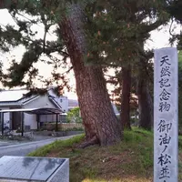 御油の松並木資料館の写真・動画_image_134966