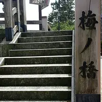 梅の橋の写真・動画_image_135070