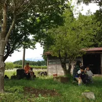 ちゃの生の写真・動画_image_13536