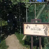 仏蘭西料理 BON-CHIC（ボンシィク）の写真・動画_image_13543
