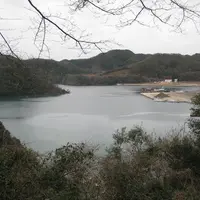 対馬ふるさと伝承館の写真・動画_image_136380