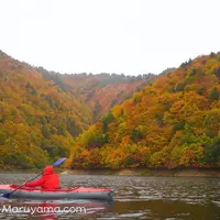ならまた湖の写真・動画_image_13646