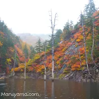ならまた湖の写真・動画_image_13648