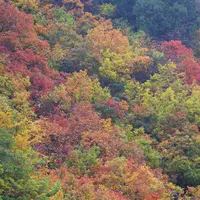 ならまた湖の写真・動画_image_13677