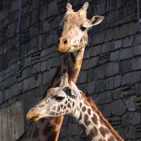 セブンイレブン 中央区札幌円山動物園店の写真・動画_image_13685