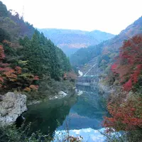 祖谷渓の写真・動画_image_13733