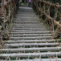 祖谷のかずら橋の写真・動画_image_13742