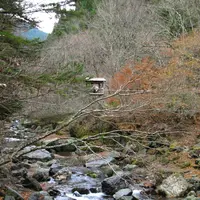 奥祖谷二重かずら橋の写真・動画_image_13746