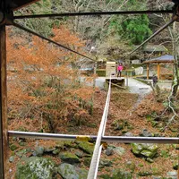 奥祖谷二重かずら橋の写真・動画_image_13748