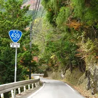 天空の村・案山子の里の写真・動画_image_13752