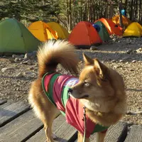 赤岳鉱泉の写真・動画_image_13763